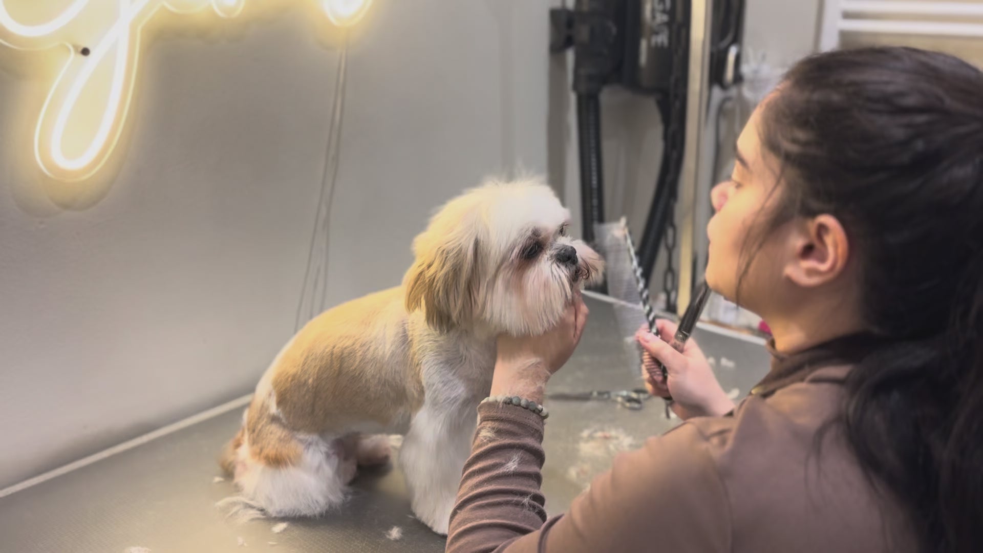 Charger la vidéo : 