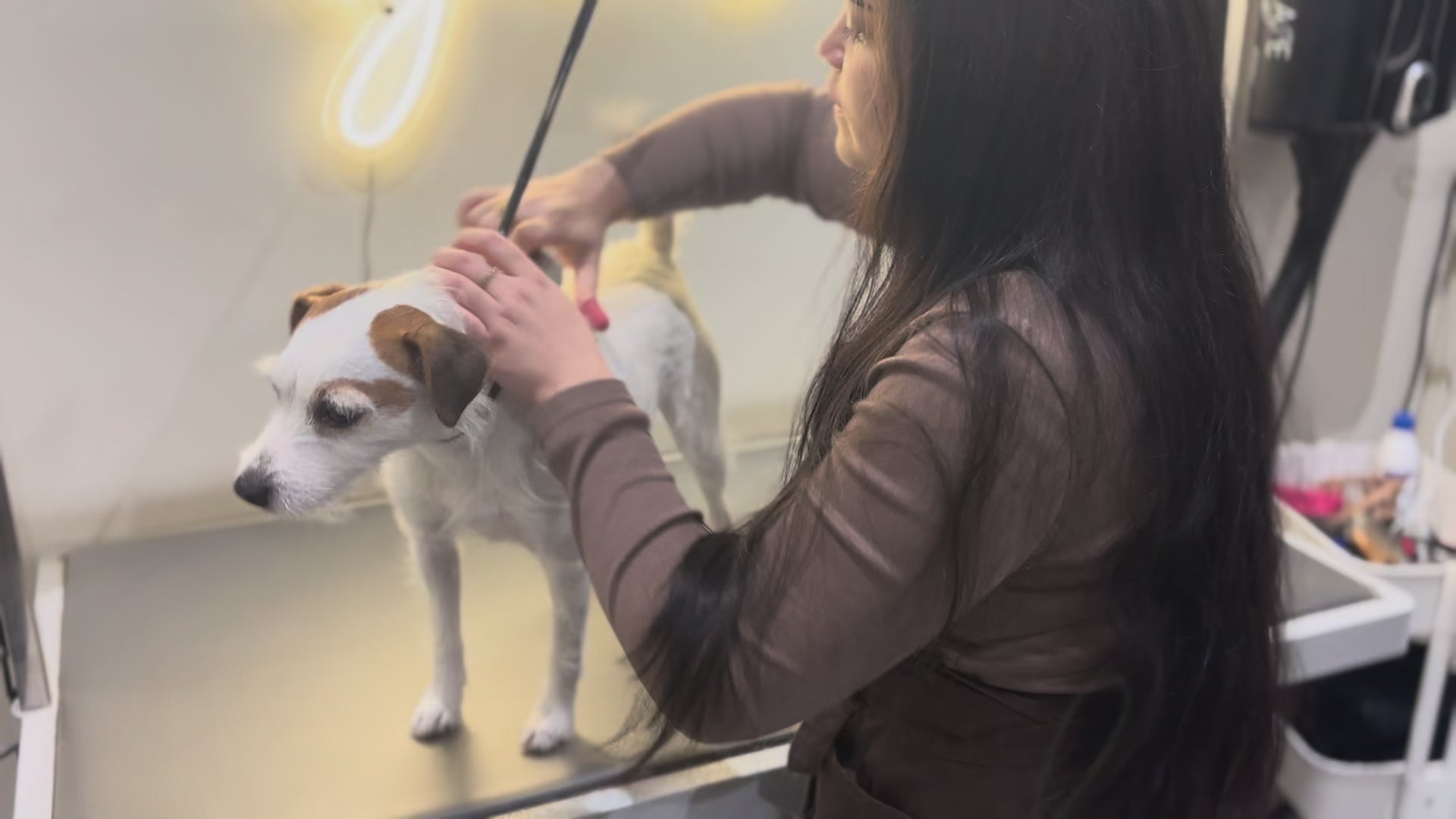 Charger la vidéo : 