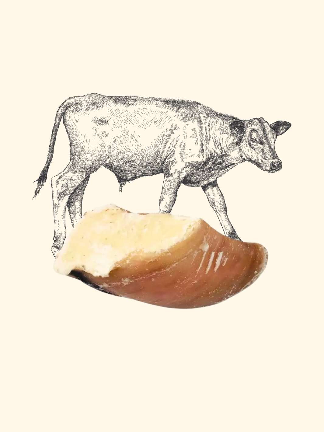 Sabots de veau garnis x5