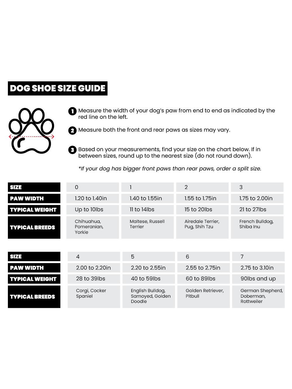 Basket pour chien Caesar 1