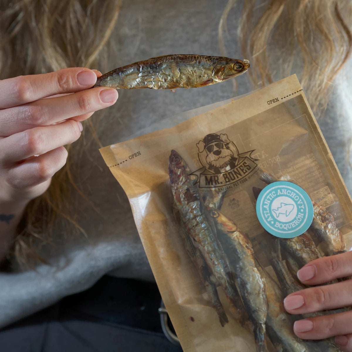 Anchois de l'Atlantique