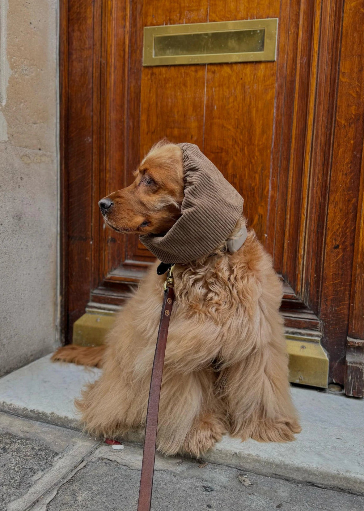 Snood velours marron côtelé clair