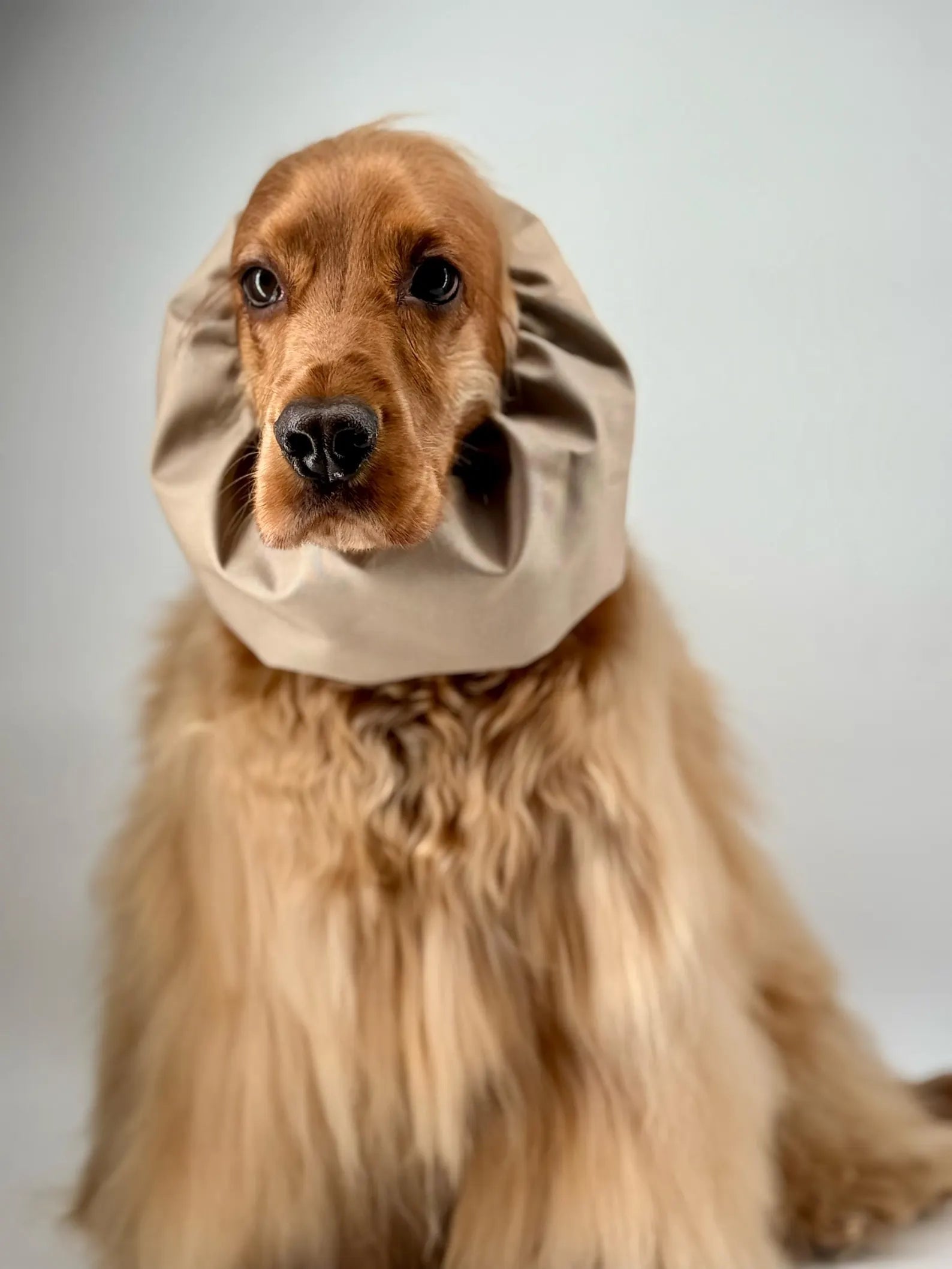 Snood imperméable Beige