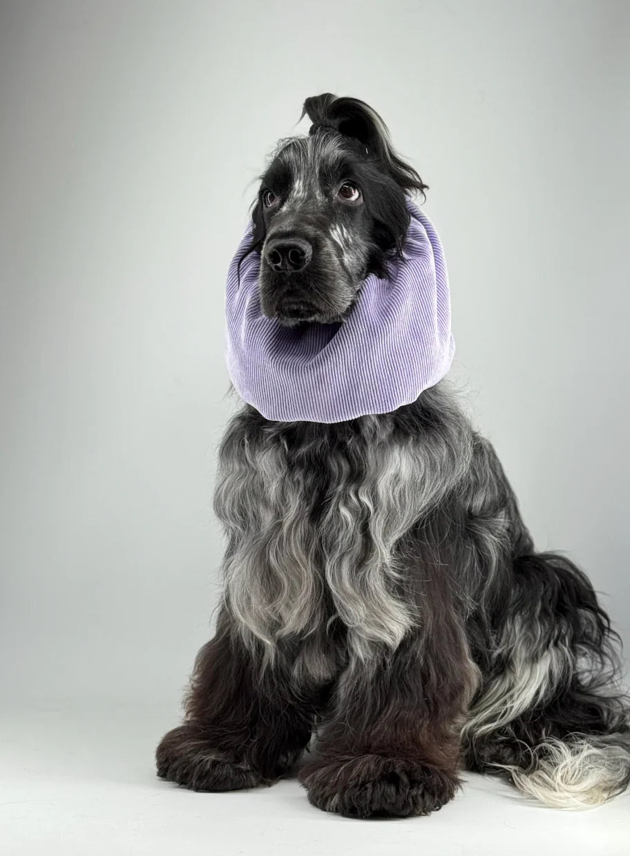 Snood velours côtelé lilas