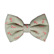 Noeud papillon à collier pour chien Candy Sage