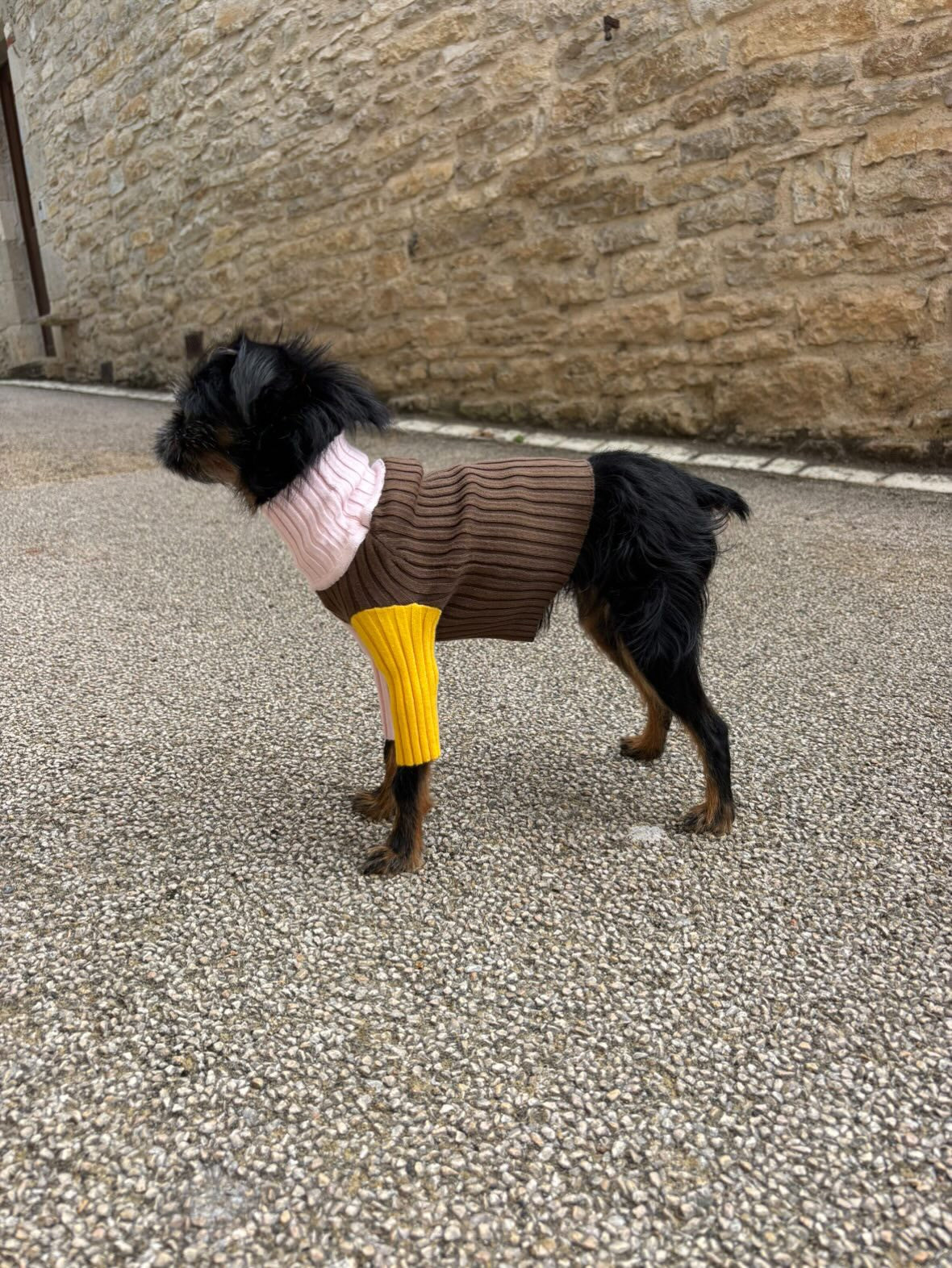 Pull Color Block Giugiu x Gino's