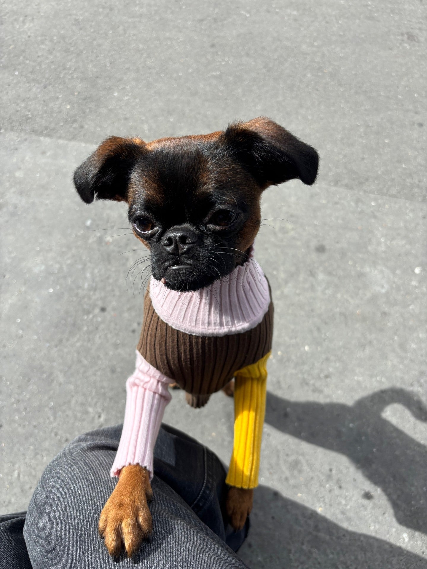 Pull Color Block Giugiu x Gino's