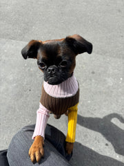 Pull Color Block Giugiu x Gino's