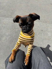 Pull à rayures Giu Giu x Gino's