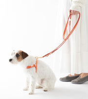 Laisse en cuir de Nappa Mario orange