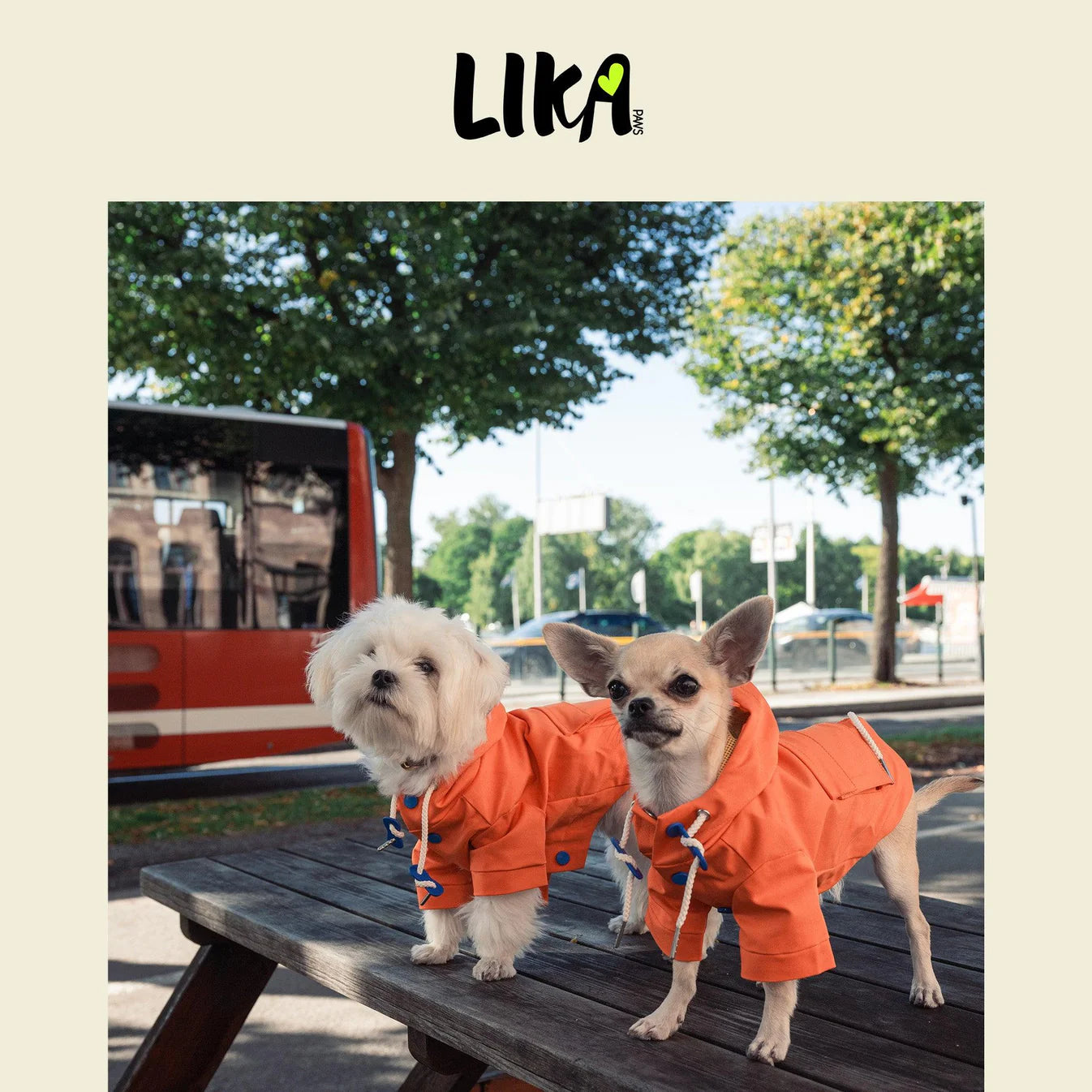 Imperméable orange All Day Function Coat
