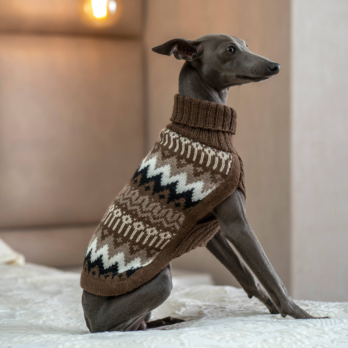 Pull pour chien en alpaga Wooly Peaks