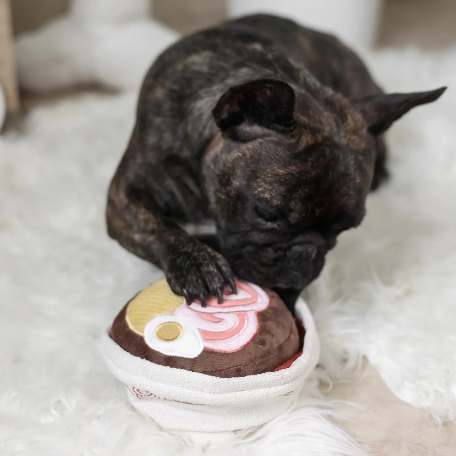 Jouet de fouille Ramen
